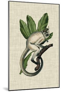 Canopy Monkey IV-Naomi McCavitt-Mounted Art Print