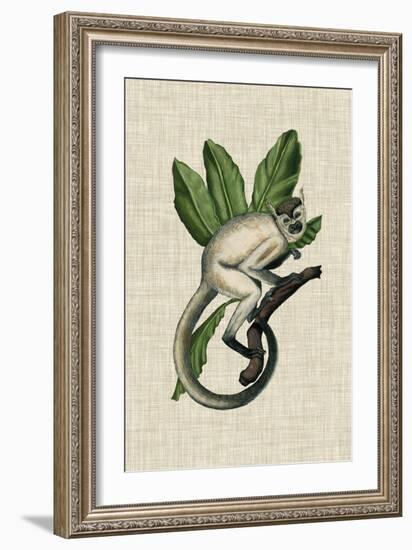 Canopy Monkey IV-Naomi McCavitt-Framed Art Print