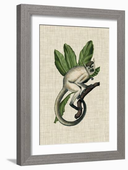 Canopy Monkey IV-Naomi McCavitt-Framed Art Print