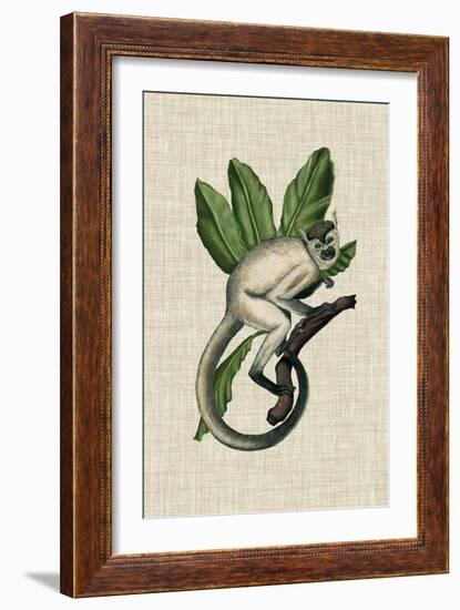 Canopy Monkey IV-Naomi McCavitt-Framed Art Print