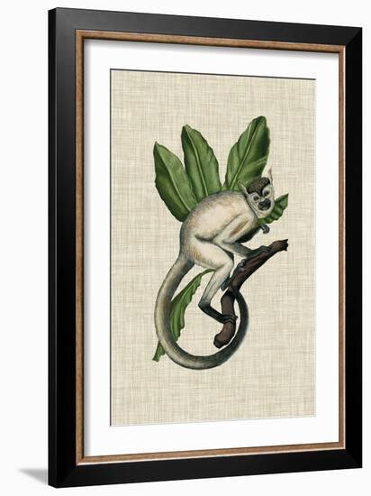 Canopy Monkey IV-Naomi McCavitt-Framed Art Print