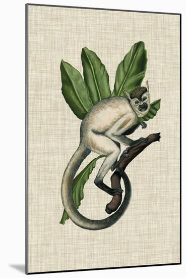 Canopy Monkey IV-Naomi McCavitt-Mounted Art Print