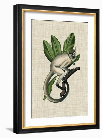 Canopy Monkey IV-Naomi McCavitt-Framed Art Print