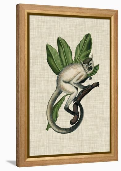 Canopy Monkey IV-Naomi McCavitt-Framed Stretched Canvas