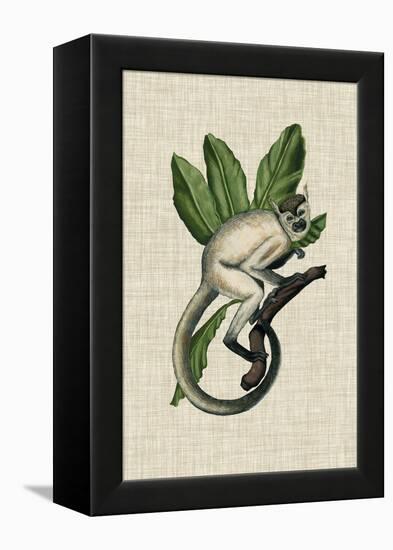 Canopy Monkey IV-Naomi McCavitt-Framed Stretched Canvas