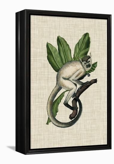 Canopy Monkey IV-Naomi McCavitt-Framed Stretched Canvas