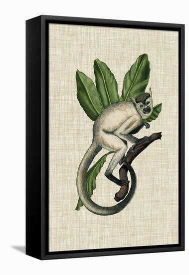 Canopy Monkey IV-Naomi McCavitt-Framed Stretched Canvas