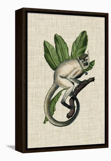 Canopy Monkey IV-Naomi McCavitt-Framed Stretched Canvas