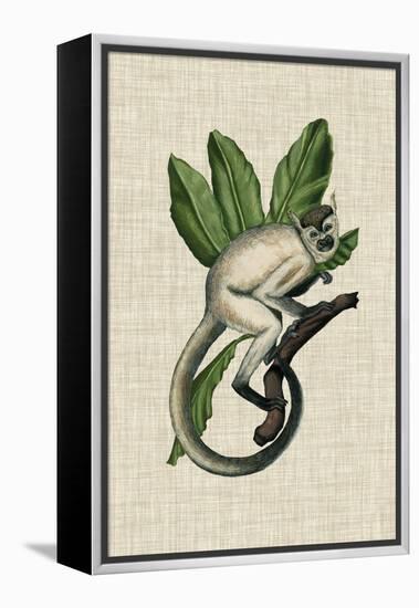 Canopy Monkey IV-Naomi McCavitt-Framed Stretched Canvas