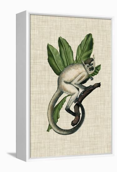 Canopy Monkey IV-Naomi McCavitt-Framed Stretched Canvas