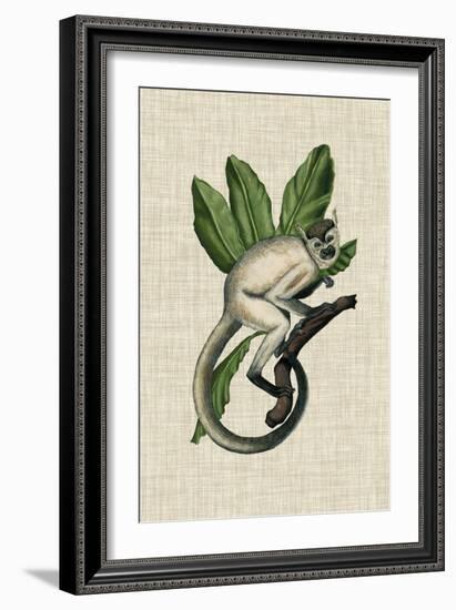 Canopy Monkey IV-Naomi McCavitt-Framed Premium Giclee Print