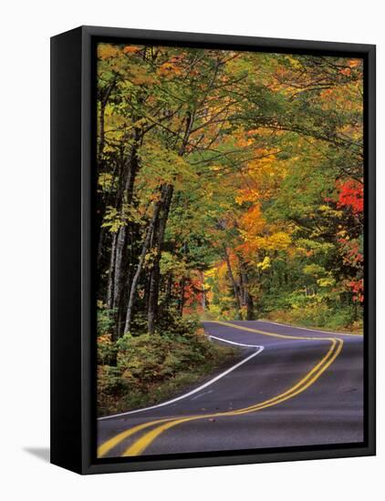 Canopy of Autumn Color over Highway 41, Copper Harbor, Michigan, USA-Chuck Haney-Framed Premier Image Canvas