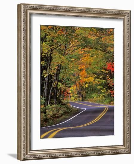 Canopy of Autumn Color over Highway 41, Copper Harbor, Michigan, USA-Chuck Haney-Framed Photographic Print