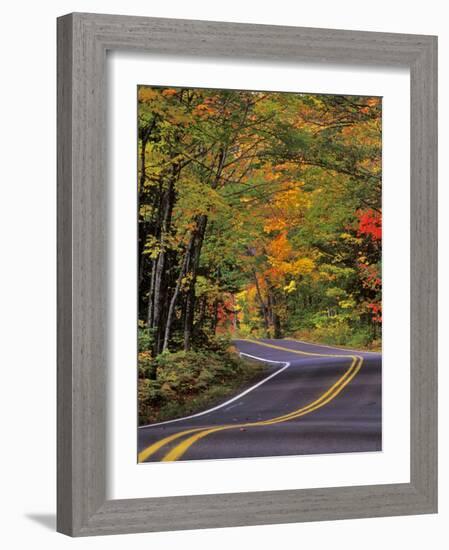 Canopy of Autumn Color over Highway 41, Copper Harbor, Michigan, USA-Chuck Haney-Framed Photographic Print