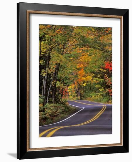 Canopy of Autumn Color over Highway 41, Copper Harbor, Michigan, USA-Chuck Haney-Framed Photographic Print
