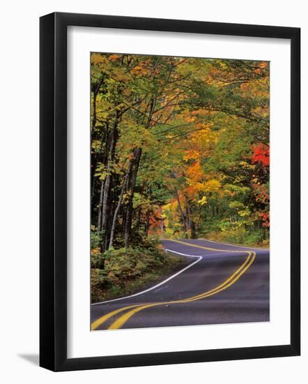 Canopy of Autumn Color over Highway 41, Copper Harbor, Michigan, USA-Chuck Haney-Framed Photographic Print