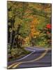 Canopy of Autumn Color over Highway 41, Copper Harbor, Michigan, USA-Chuck Haney-Mounted Photographic Print