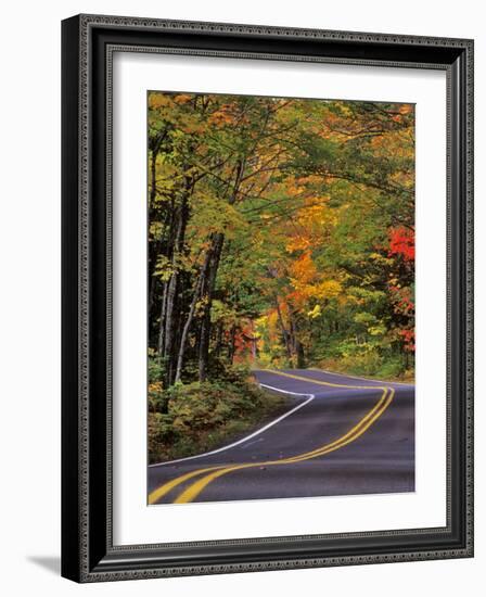 Canopy of Autumn Color over Highway 41, Copper Harbor, Michigan, USA-Chuck Haney-Framed Photographic Print