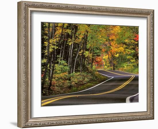 Canopy of Autumn Color over Highway 41, Copper Harbor, Michigan, USA-Chuck Haney-Framed Photographic Print