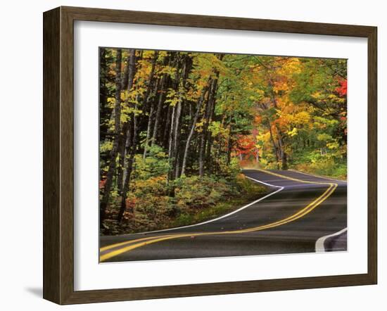 Canopy of Autumn Color over Highway 41, Copper Harbor, Michigan, USA-Chuck Haney-Framed Photographic Print