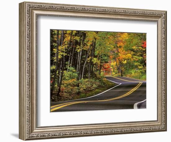 Canopy of Autumn Color over Highway 41, Copper Harbor, Michigan, USA-Chuck Haney-Framed Photographic Print