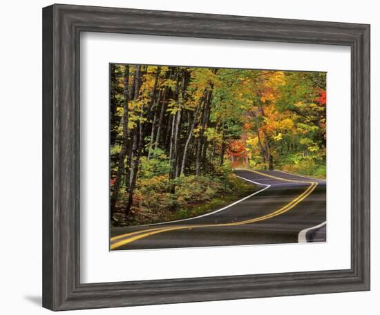 Canopy of Autumn Color over Highway 41, Copper Harbor, Michigan, USA-Chuck Haney-Framed Photographic Print