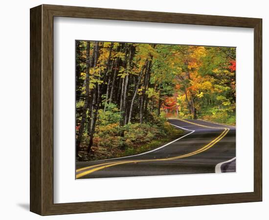 Canopy of Autumn Color over Highway 41, Copper Harbor, Michigan, USA-Chuck Haney-Framed Photographic Print