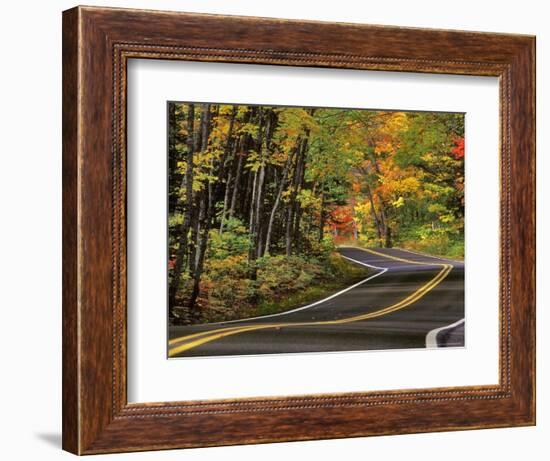 Canopy of Autumn Color over Highway 41, Copper Harbor, Michigan, USA-Chuck Haney-Framed Photographic Print