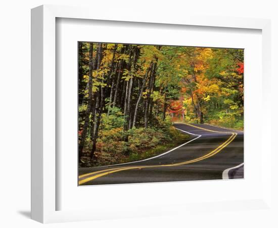 Canopy of Autumn Color over Highway 41, Copper Harbor, Michigan, USA-Chuck Haney-Framed Photographic Print