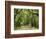 Canopy Road III-James McLoughlin-Framed Photographic Print