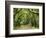 Canopy Road III-James McLoughlin-Framed Photographic Print