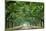 Canopy Road Panorama VI-James McLoughlin-Mounted Photographic Print