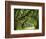 Canopy Road V-James McLoughlin-Framed Photographic Print