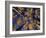 Canopy View-Art Wolfe-Framed Photographic Print