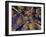 Canopy View-Art Wolfe-Framed Photographic Print