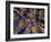 Canopy View-Art Wolfe-Framed Photographic Print