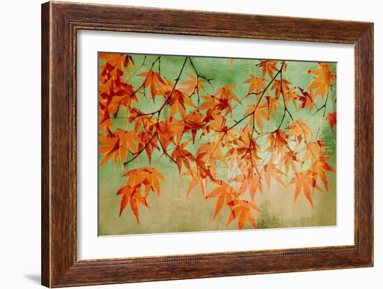 Canopy-Andrew Michaels-Framed Premium Giclee Print