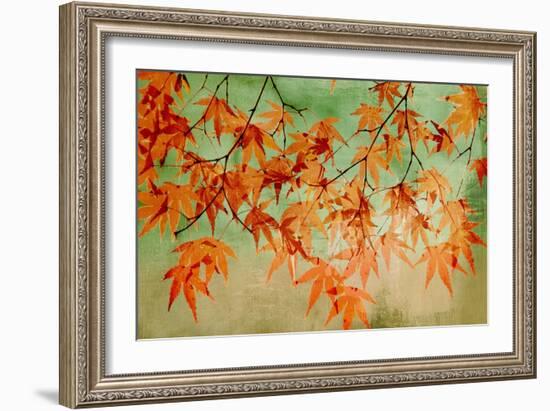 Canopy-Andrew Michaels-Framed Art Print