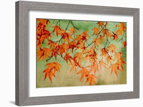 Canopy-Andrew Michaels-Framed Art Print