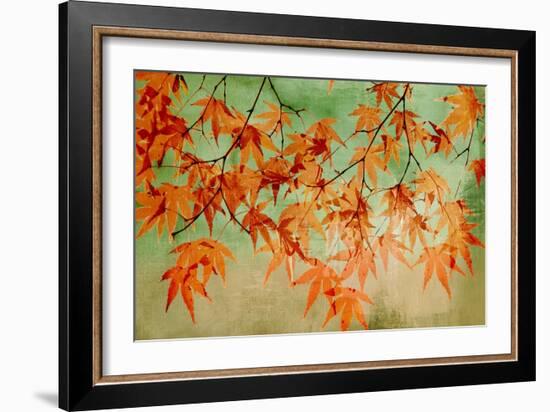 Canopy-Andrew Michaels-Framed Art Print