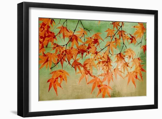 Canopy-Andrew Michaels-Framed Art Print