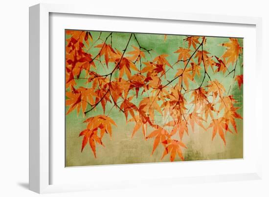 Canopy-Andrew Michaels-Framed Art Print