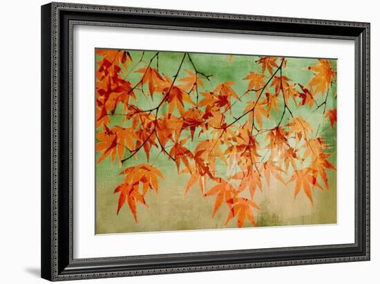 Canopy-Andrew Michaels-Framed Art Print