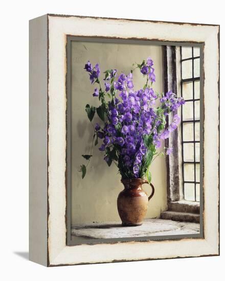 Canterbury Bells-Clay Perry-Framed Premier Image Canvas