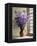 Canterbury Bells-Clay Perry-Framed Premier Image Canvas