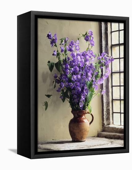 Canterbury Bells-Clay Perry-Framed Premier Image Canvas