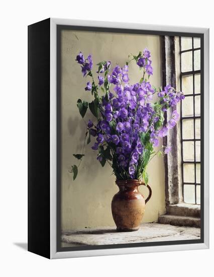 Canterbury Bells-Clay Perry-Framed Premier Image Canvas