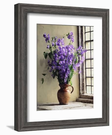 Canterbury Bells-Clay Perry-Framed Photographic Print