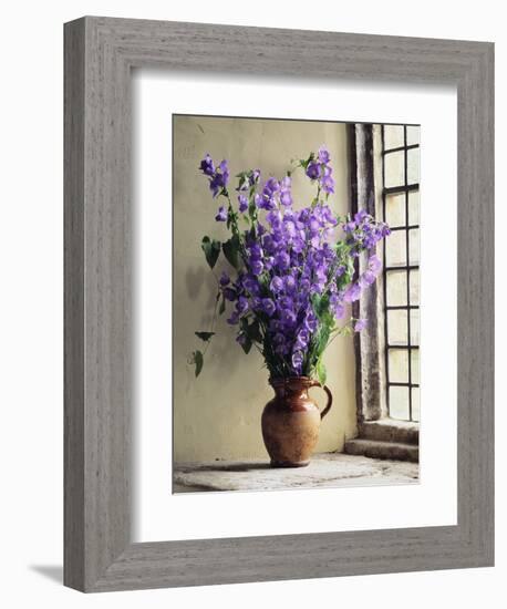 Canterbury Bells-Clay Perry-Framed Photographic Print