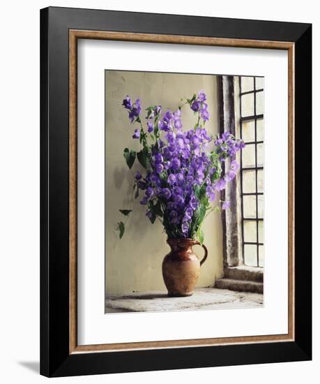 Canterbury Bells-Clay Perry-Framed Photographic Print